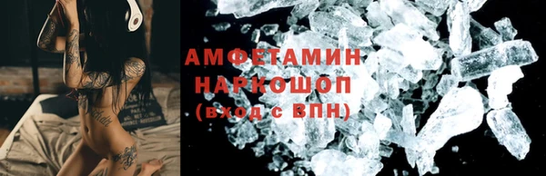 шишки Карпинск