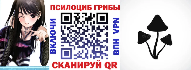 Псилоцибиновые грибы мицелий Тосно