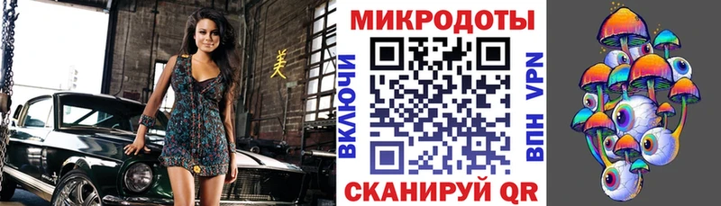 Псилоцибиновые грибы Psilocybine cubensis Тосно